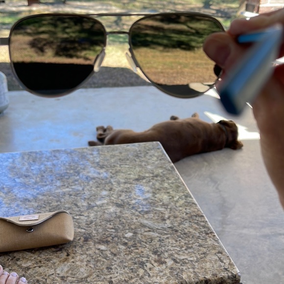 Costa Peli (women’s) - Picture 16 of 16